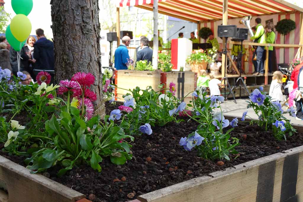 Auf den Bänklis küssen