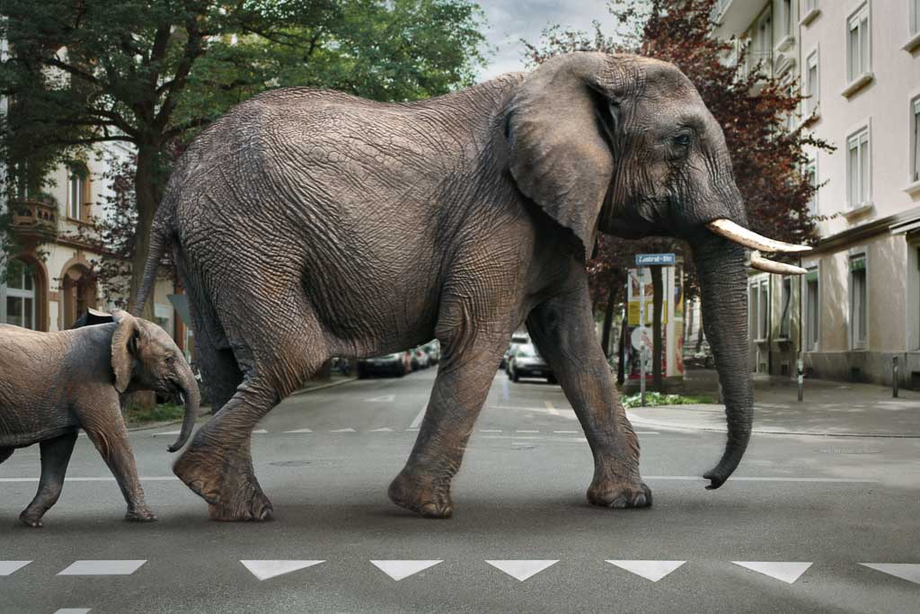 Im Kreisel werden Velos besonders häufig übersehen