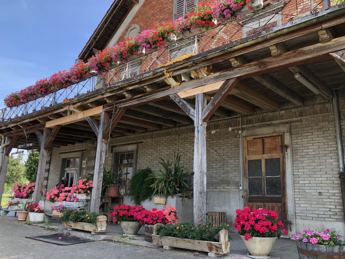 Morgentour mit Mittagessen